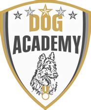 dog academy professional dog training