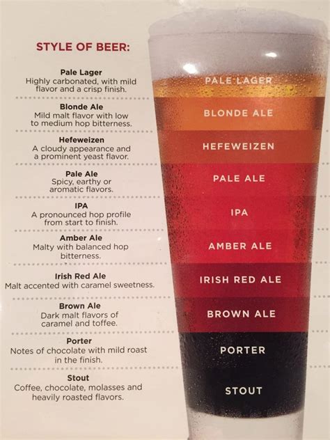Types Of Beer Explained Beer Glass Hopper