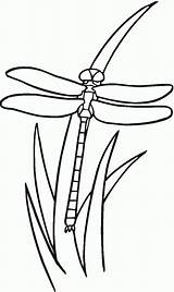 Dragonfly Coloring Pages Grass Printable Kids Bestcoloringpagesforkids Color Dragonflies Colouring Patterns Clipart Clipartbest Wood Burning Libellule Supercoloring Stencil Clip Choose sketch template