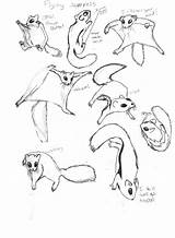 Squirrel Flying Squirrels Drawing Coloring Sketch Drawings Reference Deviantart Character Animal 1kb Into Choose Board sketch template