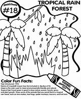 Rainforest Coloring Tropical Forest Rain Pages Easy Drawing Print Crayola Plants Animal Sheets Getdrawings Draw Clipart Color Library La Clip sketch template