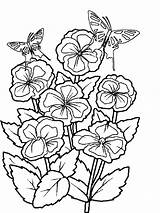 Coloring Dltk Flowers sketch template