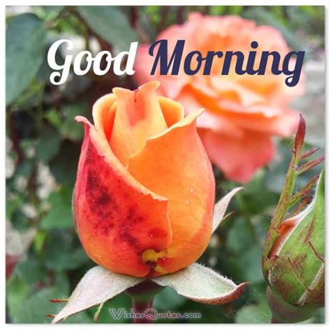 sweet good morning messages  adorable good morning images