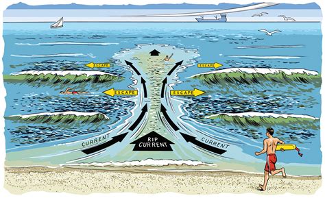 escape   rip current scout life magazine