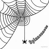 Spinnennetz Cool2bkids sketch template