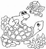 Turtle Coloring Pages Color Animal Animals Print Sheets Back sketch template