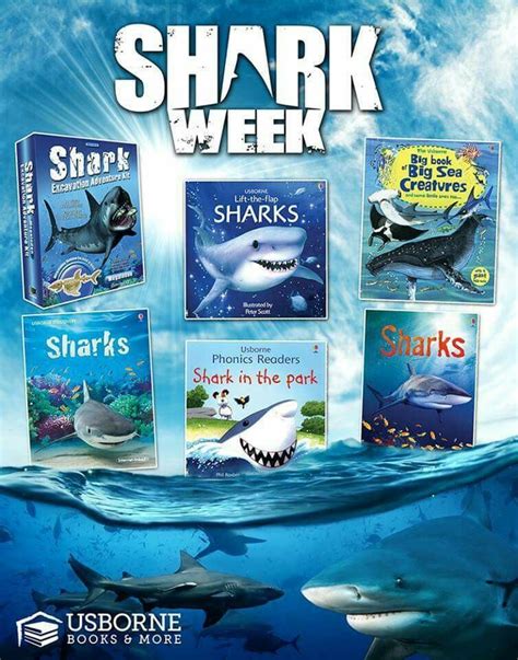shark week usborne books usborne books party usborne