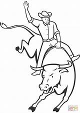 Bull Rodeo Coloring Pages Riding Drawing Drawings Printable Horse Ferdinand Bucking Cowboy Roping Clipart Pbr Color Team Print Getdrawings Getcolorings sketch template