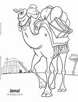 Camel Coloring Jamal Kids Answers Pdf sketch template