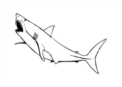 shark coloring pages  ai