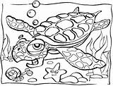 Coloring Ocean Pages Animals Printable Kids sketch template