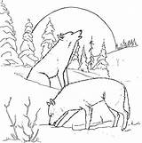 Wolf Coloring Pages Howling Moon Pack Print Drawing Coloring4free Adults Arctic Cool Printable Sheets Couple Wolves Night Animals Color Realistic sketch template