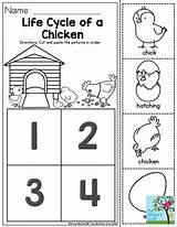 Ciclo Ciclos Egg Sequencing Chickens Aprendizaje Cloudshareinfo Temporales Nociones Matemáticas Preescolares Moffattgirls sketch template