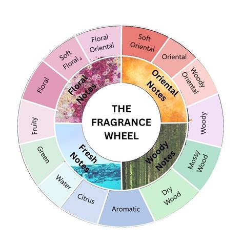 scent family  fragrance wheel fragrance notes