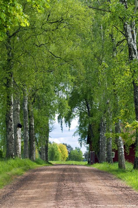 country road in vastergstland sweden landscape country
