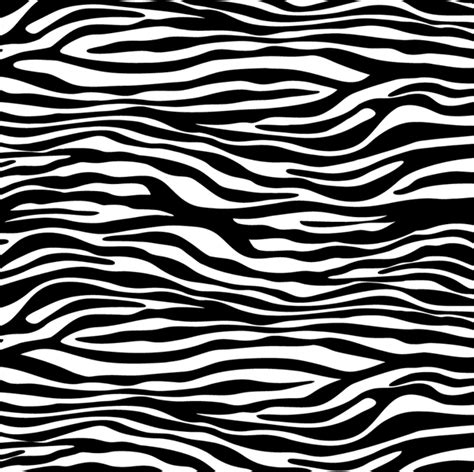 zebra print vector pattern  clipart  freeimages