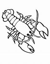 Lobster Coloring Pages Sea Drawing Crawfish Crayfish Kids Colouring Animals Outline Marine Animal Simple Clipart Line Cute Printable Color Ocean sketch template