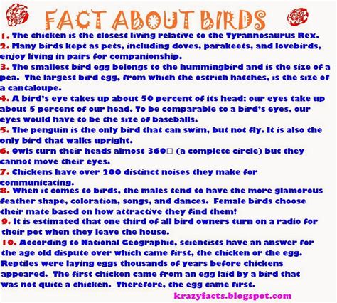 crazy fact fascinating fact  birds