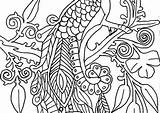Pages Coloring Paisley Peacock Getcolorings sketch template