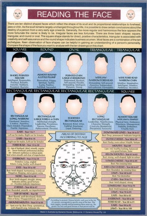 face reading images  pinterest acupuncture chinese face reading  reading