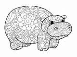 Hippopotamus Nilpferd Coloritura Ippopotamo Animali Adulti Vettore Tier Erwachsenen Zentangle Illustrationen sketch template