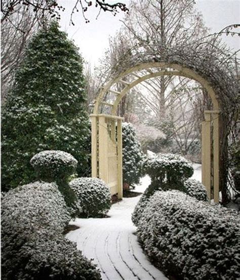 lovely outdoor winter gardens design ideas   inspire