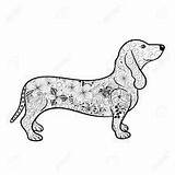 Dachshund Doodle Drawing Coloring Mandalas Illustration Dog Vector Animal Stock Pages Puppy Doodling Silhouette Tattoo Dreamstime Teckel Para Arte Crafts sketch template