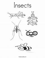 Insects Coloring Pages Worksheet Insect Printable Kids Twistynoodle Colouring Worksheets Tracing Sheets Circle Bug Animals Print Noodle Many Animal Letter sketch template