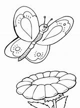Vlinders Schmetterlinge Kids Malvorlage Stemmen Stimmen Votes Vlinder sketch template