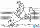 Bull Rodeo Webstockreview Drukuj sketch template