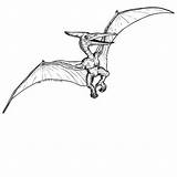 Pterosaur Pteranodon sketch template