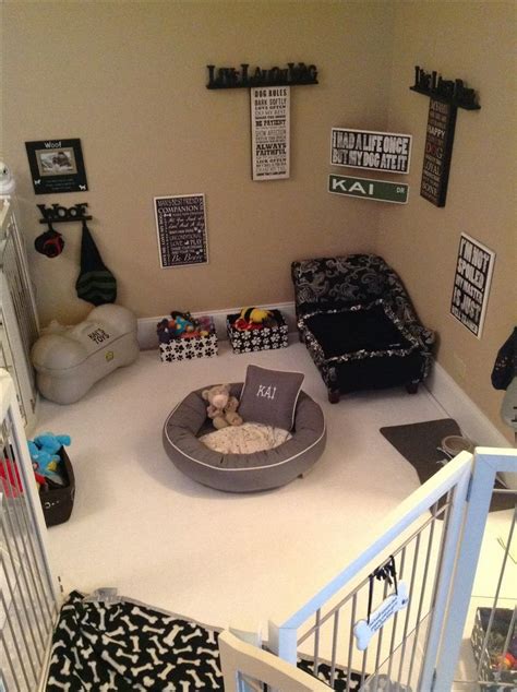 pet rooms ideas  pinterest dog rooms puppy room  doggy room ideas