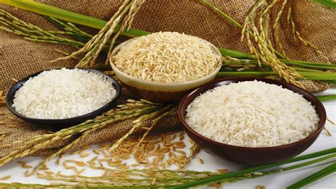 california  grow rice sustainably  israeli water tech israelc