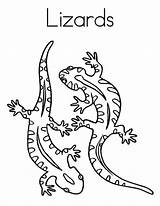 Lizard Colornimbus Detailed sketch template