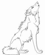 Howling Lobo Aullando Lobos sketch template