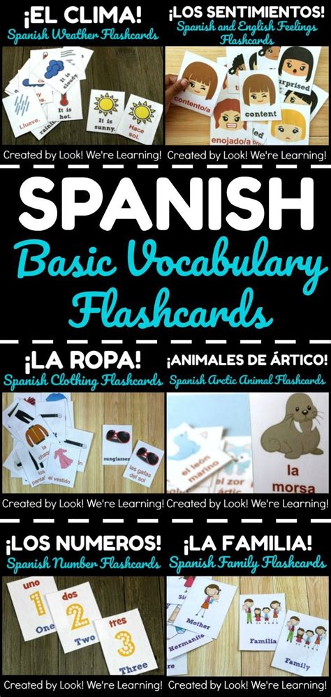 practice basic spanish vocabulary words   printable spanish