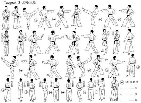 Wtf Taekwondo Form 3 Poomsae Taegeuk Sam Jang Tae Kwon