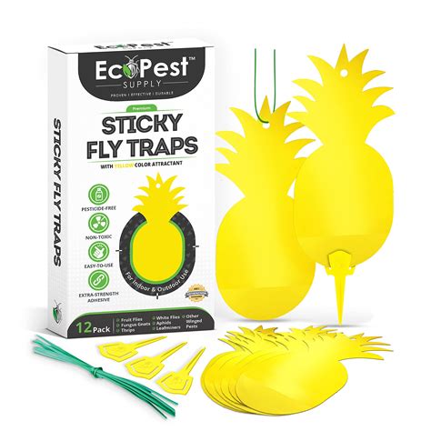 buy sticky fruit fly  gnat traps  pack yellow fly paper trap  house   gnat