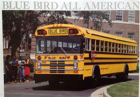 blue bird  american sales brochure  walter flickr