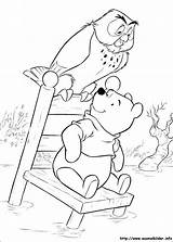 Winnie Pooh Puuh Eule Malvorlagen Ourson Desenhos Coloriage Colorir Coloriages Ausdrucken Ferkel Kino Winie Tigger Gralandia Planse Colorat Successivi Coloriez sketch template