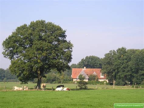 mander uelserweg luchtfotos fotos nederland  beeldnl