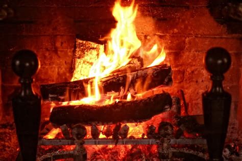 lemn de foc sfaturi  indicatii nepretioase