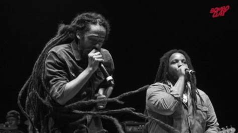 stephen marley ft damian marley perfect picture stephen marley
