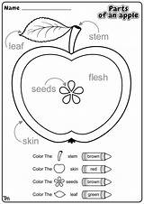 Apples Teachersmag Alphabet Butterflies Homeschooling sketch template