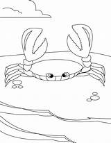 Crabe Caranguejo Mangue Colorear Ausmalen Desenho Krabbe Crabs Caracoles Kolorowanki Krab Caranguejos Caracol Cangrejo sketch template