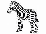 Zebra Coloring Baby Pages Cute Zebras Drawing Printable Clipart Cliparts Cartoon Head Print Getcolorings Kid Getdrawings Color Zoo 2264 Clipartmag sketch template