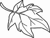 Leaf Leaves Cartoon Coloring Pages Fall Drawing Maple Outline Autumn Holly Jungle Color Clip Pumpkin Christmas Simple Kids Printable Mistletoe sketch template
