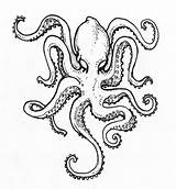 Octopus Drawing Simple Easy Tattoo Tentacles Outline Tattoos Kraken Doodles Drawings Result Squid Patterns Getdrawings Draw Sketch Paintingvalley Skin Realistic sketch template