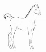 Yearling Foal sketch template