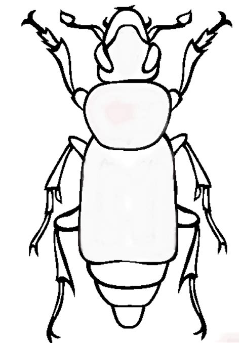 pill bug drawing    clipartmag